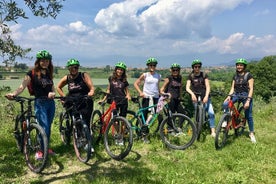 E-Bike-Tour und Weinprobe in der Landschaft von Lazise