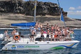 Beroemdste catamaran van het eiland Tenerife (2 uur en 3 uur durende tours)