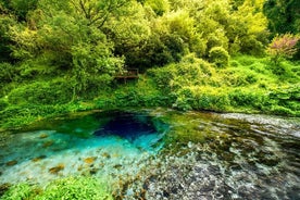  Visita il Blue Eye in un tour di mezza giornata