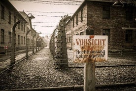 Krakow og Auschwitz Small Group Tour fra Lodz med frokost