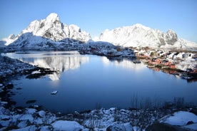 Frá Leknes bæ/höfn: Einkaferð um Lofoten með flutningi