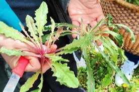 Foraging tour in the Tuscan countryside