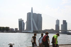 Private Rotterdam Walking Tour - geführt von Architekten