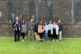 Daily Nottingham City Centre Walking Tour with Local Guide