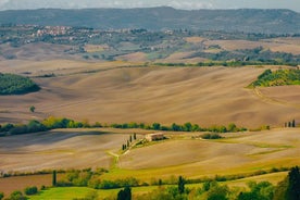 蒙特普齐亚诺（Montepulciano）：在典型的酒庄品尝葡萄酒和午餐