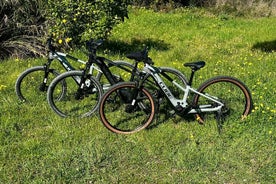 Electric Bike Rental in Sesimbra