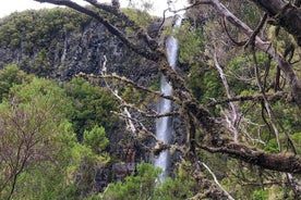 Wind Lagoon And Waterfalls hike and tour