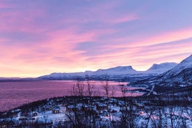 Halve dagtour naar Abisko vanuit Kiruna: ochtendwandeling