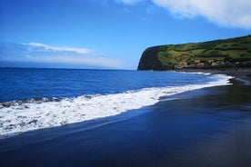 Faial privado de día completo, la vida en la isla.