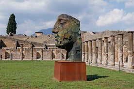 Frá Salerno: Leiðsöguferð um Pompeii