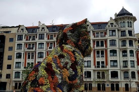 Guided tour of the Guggenheim Museum Bilbao in Spanish