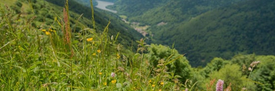 La Ferme du Panorama et Spa