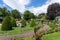 photo of shrubs trimmed in the form of cones and roses in Lecoq City Park (Jardin Lecoq) in Clermont-Ferrand, France.