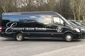 (Petit groupe) Visite de la côte au départ de Cork: Château de Blarney et distillerie Jameson