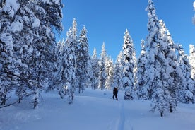 Guided Daytime Ski Adventure: Explore Private Trails by Rovaniemi