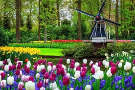 Keukenhof - European spring garden from Rotterdam, Delf and Hague