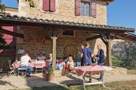 Excursion d'une journée de dégustation de vins du Beaujolais au départ de Lyon