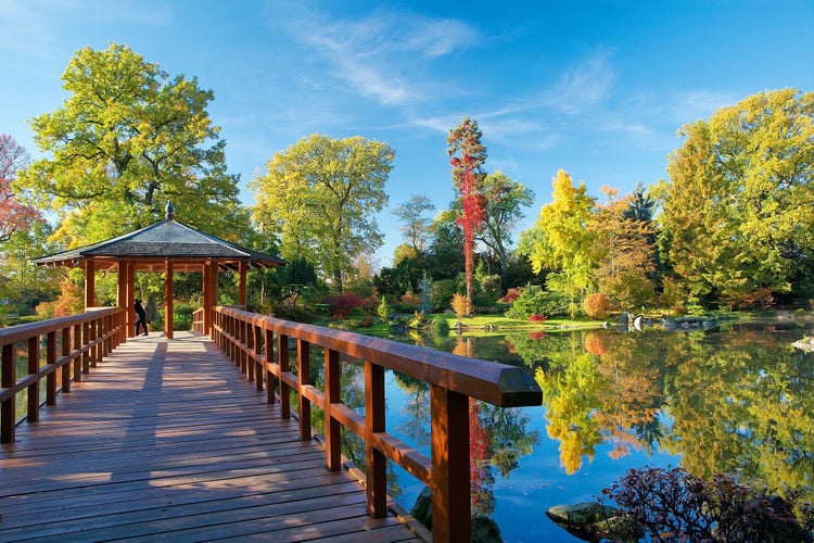 Photo of Japanese garden in Wroclaw, Poland.