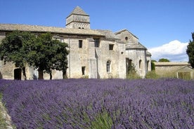 Saint Remy of Provence ja Les Baux de Provence -minibussikierros