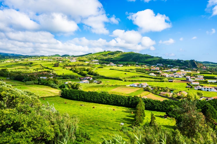 photo of view of Green farming fields at Almoxarife bay with azure ocean water on coast of Faial island, Azores, Portugal