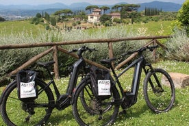 LUCCA E-BIKE -the cycle path and the rinassance villas