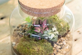 Terrarium Masterclass Ervaring in Londen