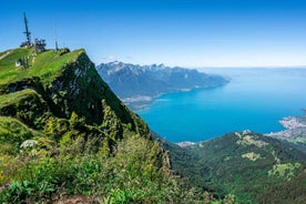 Montreux til Rochers-de-Naye: Alpafjallaævintýramiði