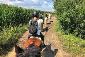 Balade À Cheval À Brasov - Balade À Travers Champs, Forêts Et Collines