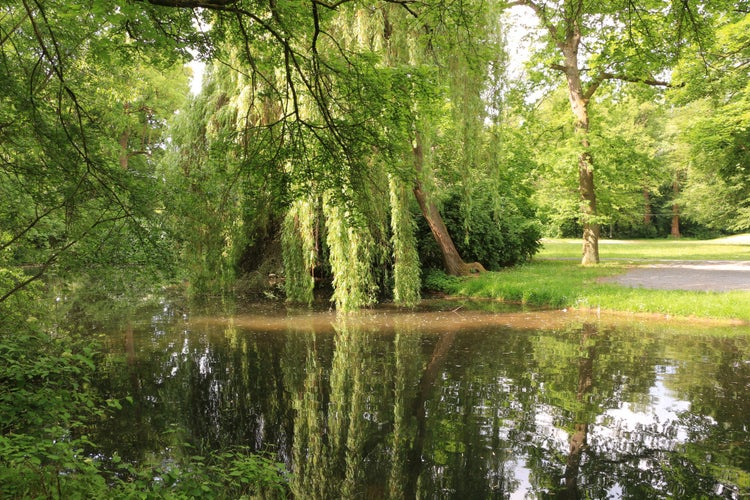 Spring day in the city park of Nordhausen