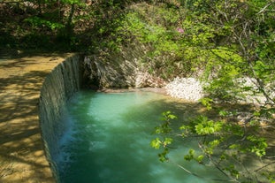 Bosco di San Francesco