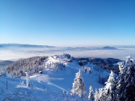 Postăvarul Massif