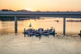 Flytande middag Wien: Privat middagsupplevelse på Donau