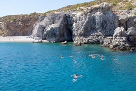 Gita in barca di un giorno intero dalla baia alla baia della costa orientale con trasferimenti