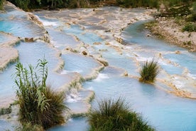 Civitavecchia: viagem guiada de dia inteiro à Toscana com degustação de vinhos