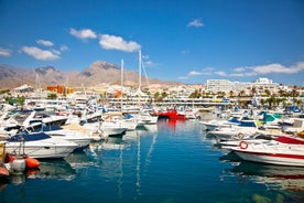 photo of aerial view of the beach and lagoon of Los Cristianos resort on Tenerife, Canary Islands, Spain.