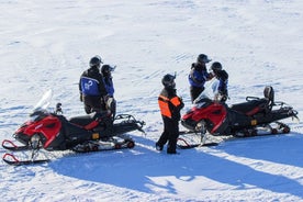 3-stündige Schneemobil-Safari rund um Levi mit Kaffeepause