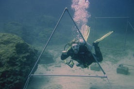 Local Guided Dives (für zertifizierte / lizenzierte Taucher)