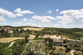 Il Mercatale Di Radda