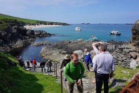 Dingle to Blasket Island Ferry