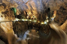 Haras de Lipica et grottes de Skocjan - Visite en petit groupe de Trieste