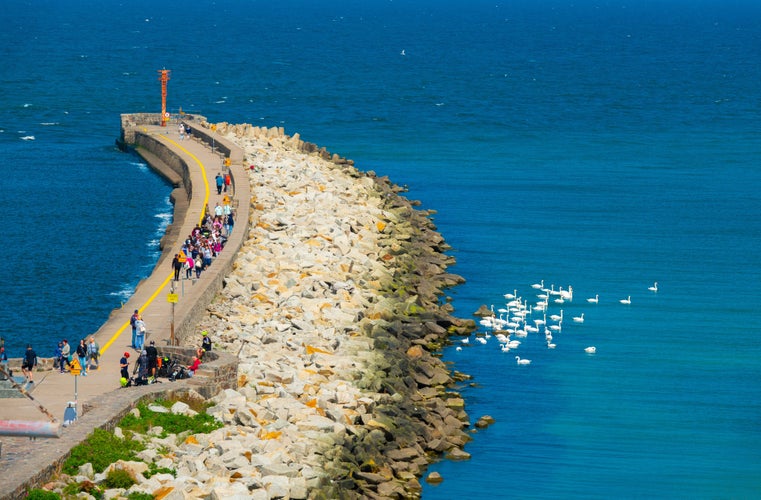 Embankment of the baltic sea with swans in early spring. city ustka, poland