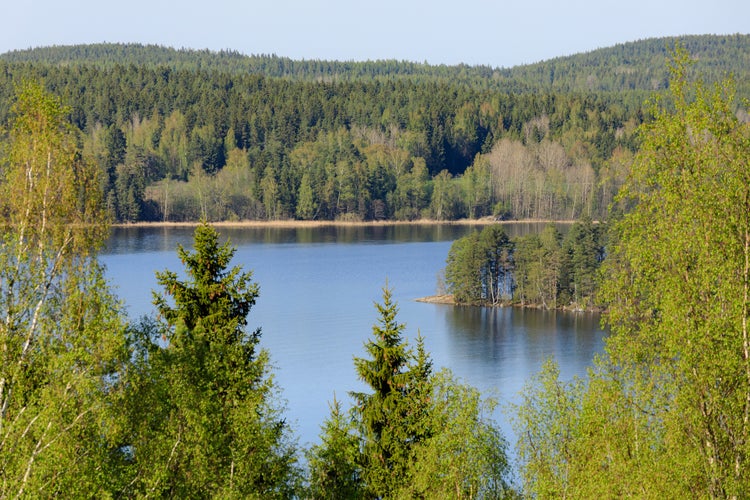 photo of view of Beautiful sunny summer day in Kangasala Finland.