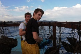 Picpoul de Pinet Halve dag oesters en wijnminibusexcursie