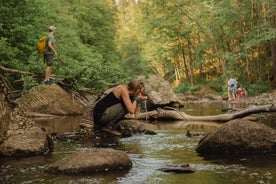 Randonnée à Oslo - Promenade sur la rivière Lysaker