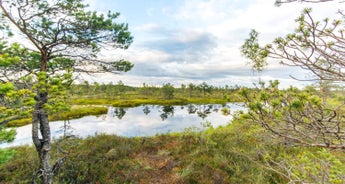 Self Guided Walking Holiday in Curonian Spit 7 Days