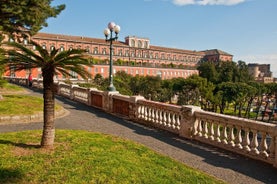 Escursione a terra da Napoli: Tour panoramico di mezza giornata di Napoli e Pompei