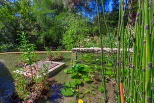 botanical garden of Cagliari