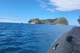 Islet Tour- Ilhéu de Vila Franca do Campo