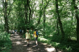 Dagsutflykt Turda (Saltmine and Gorge National Park) + Rimetea Village