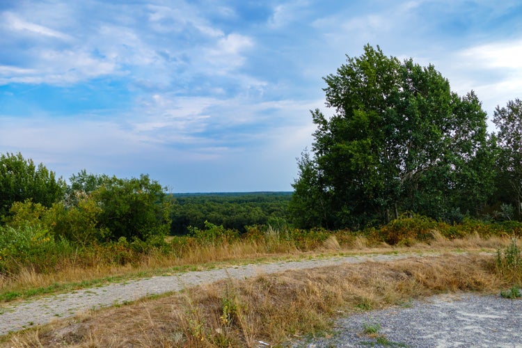 photo of view of View from De Muur van Emmen - hill 48m tall above Emmen, Netherlands.